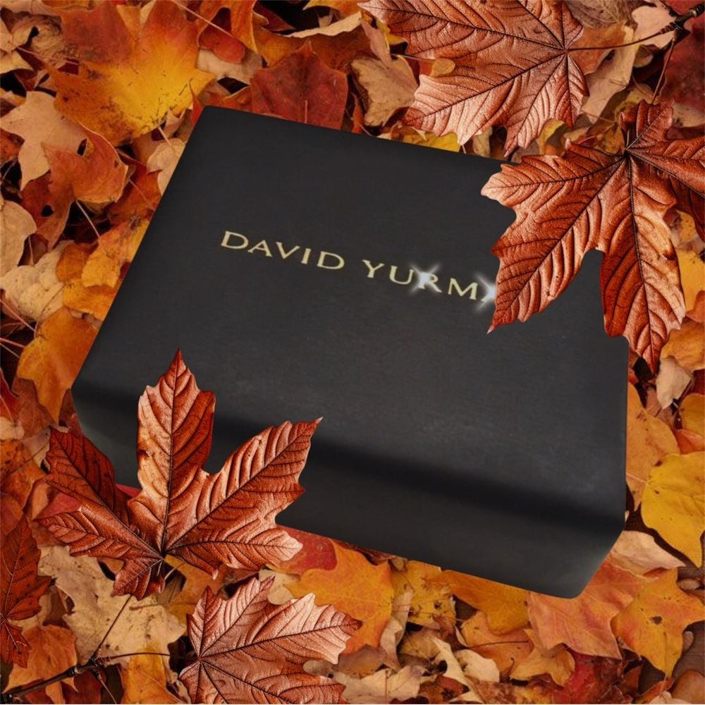 Suede David Yurman Jewelry Box